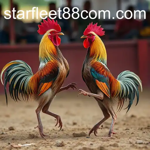 Exploring Modern Sabong Games and Starfleet88